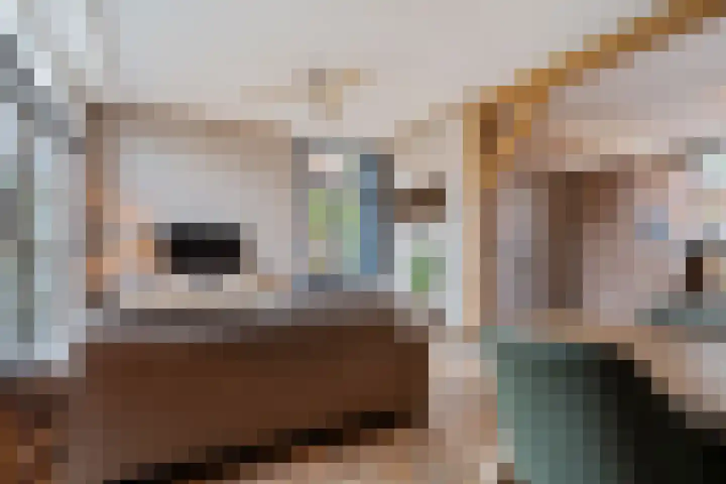 Spanjaardsplein 13 Borne thumbnail 29