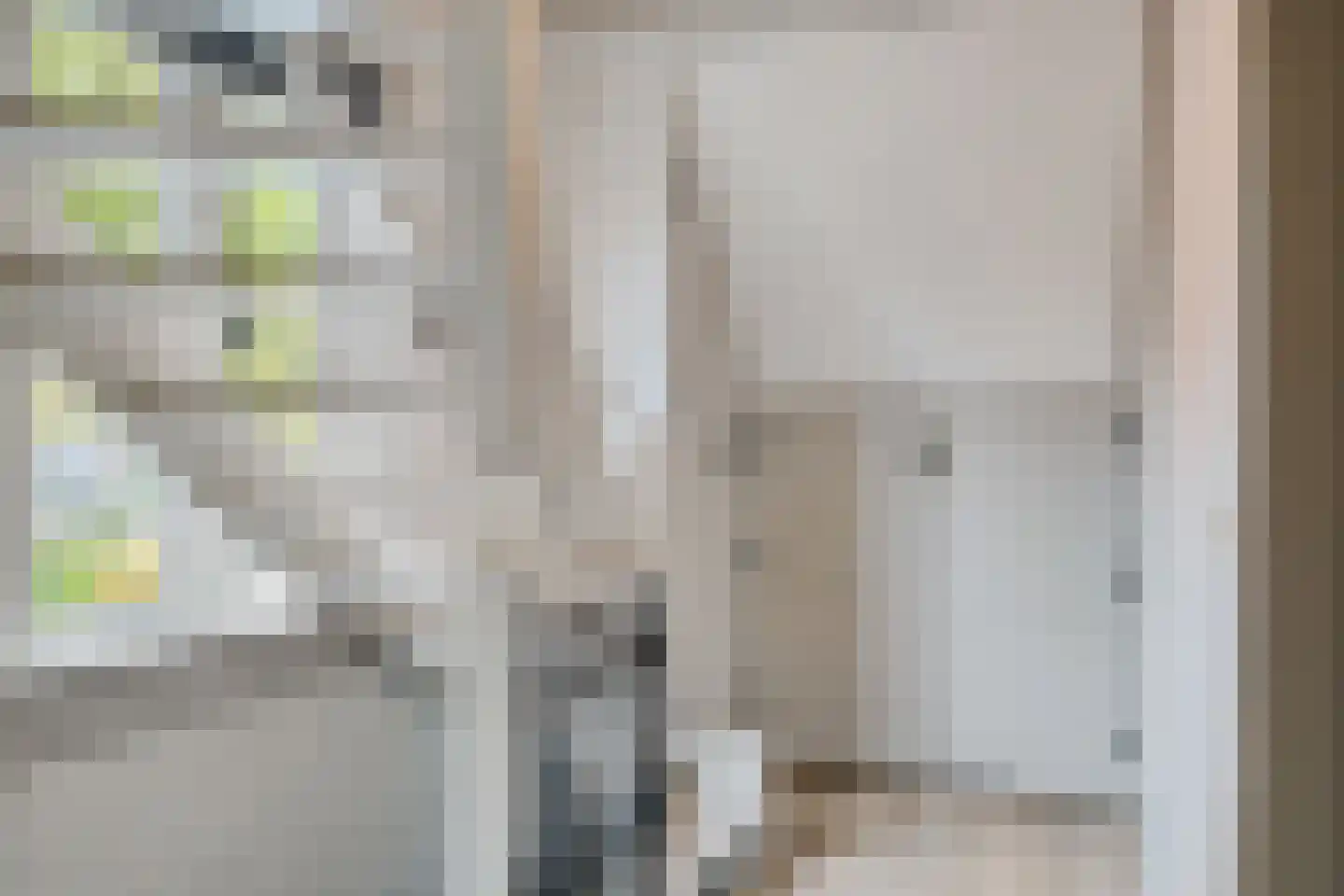 Spanjaardsplein 13 Borne thumbnail 33