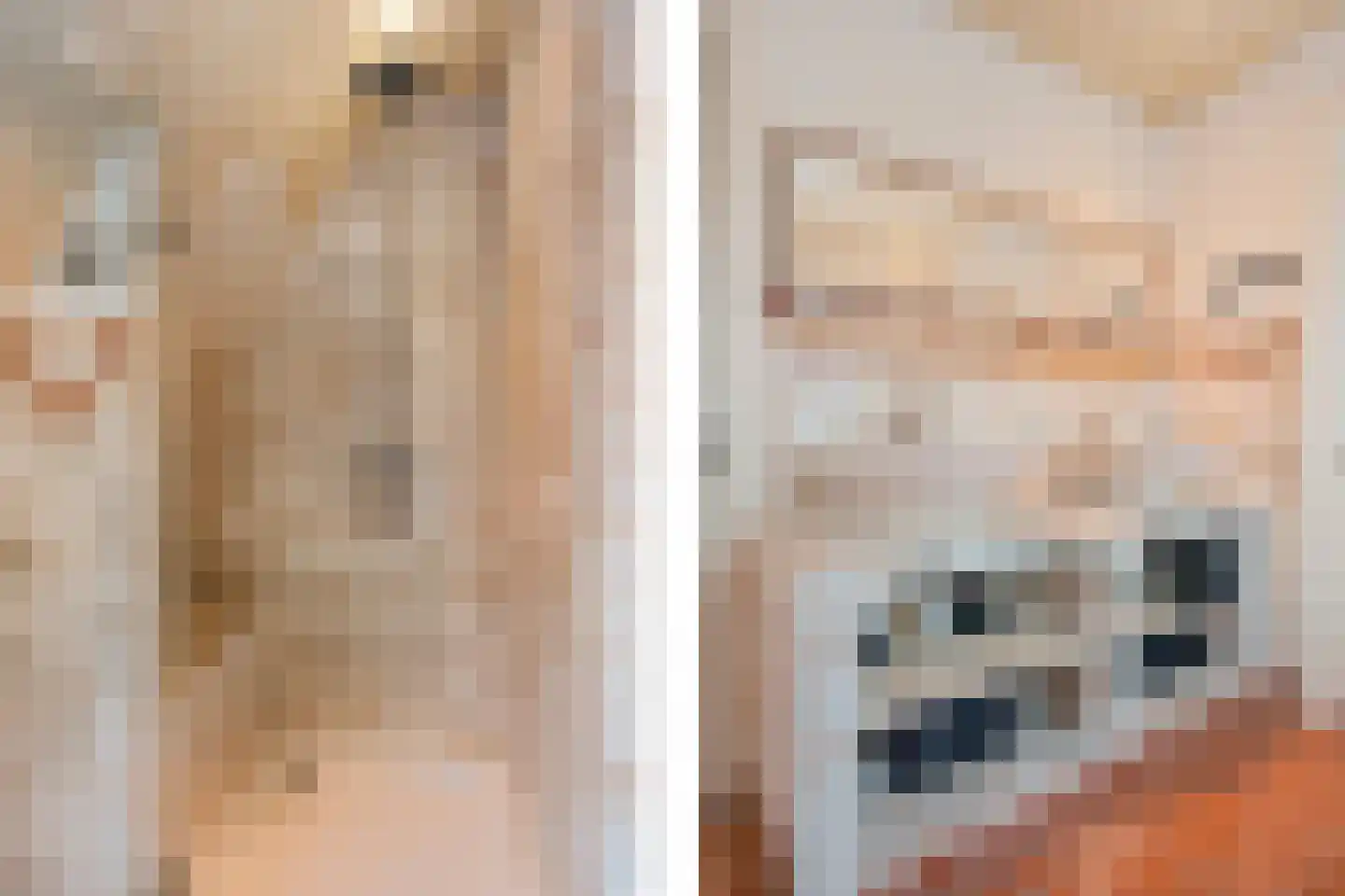 Spanjaardsplein 13 Borne thumbnail 37