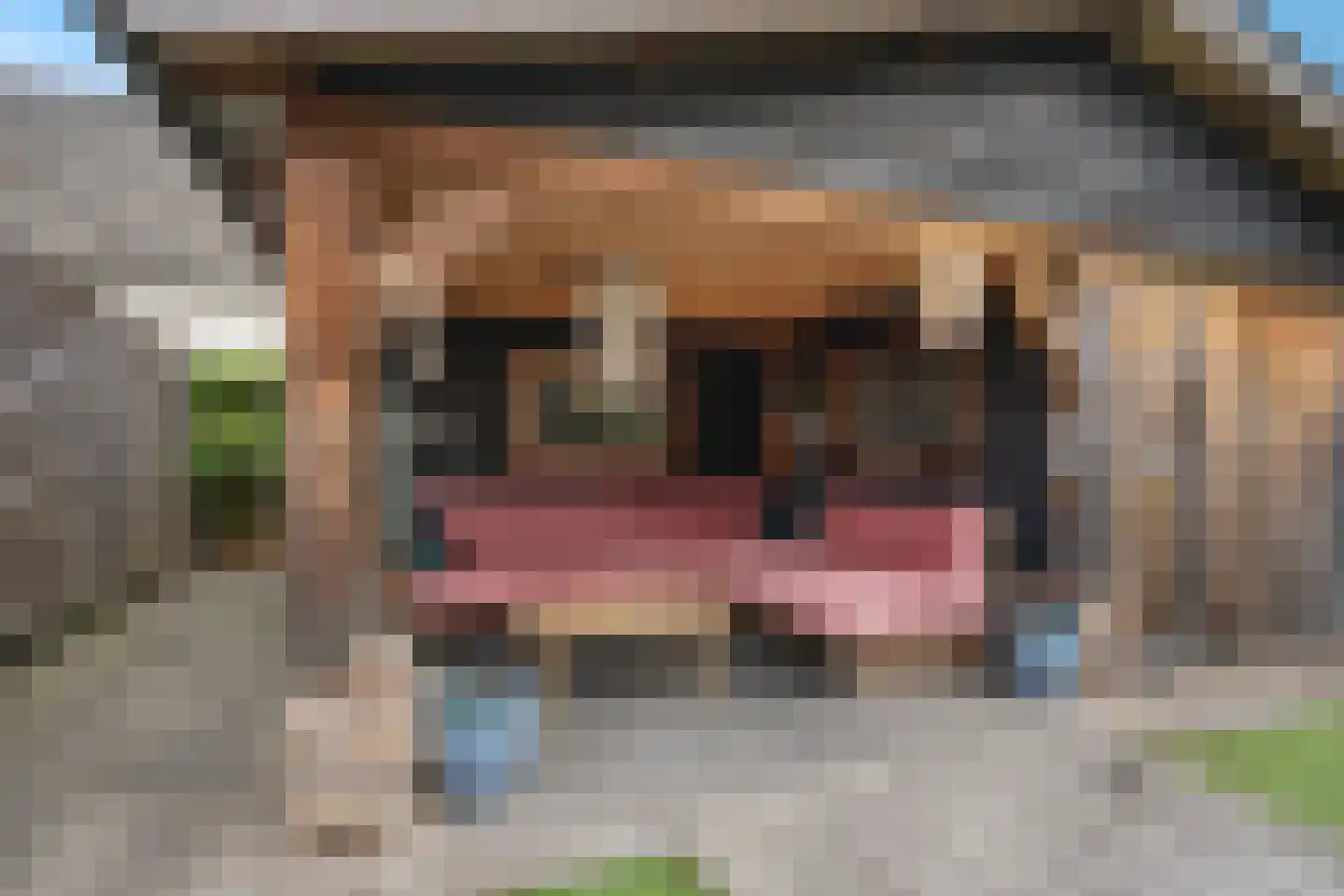 Spanjaardsplein 13 Borne thumbnail 44