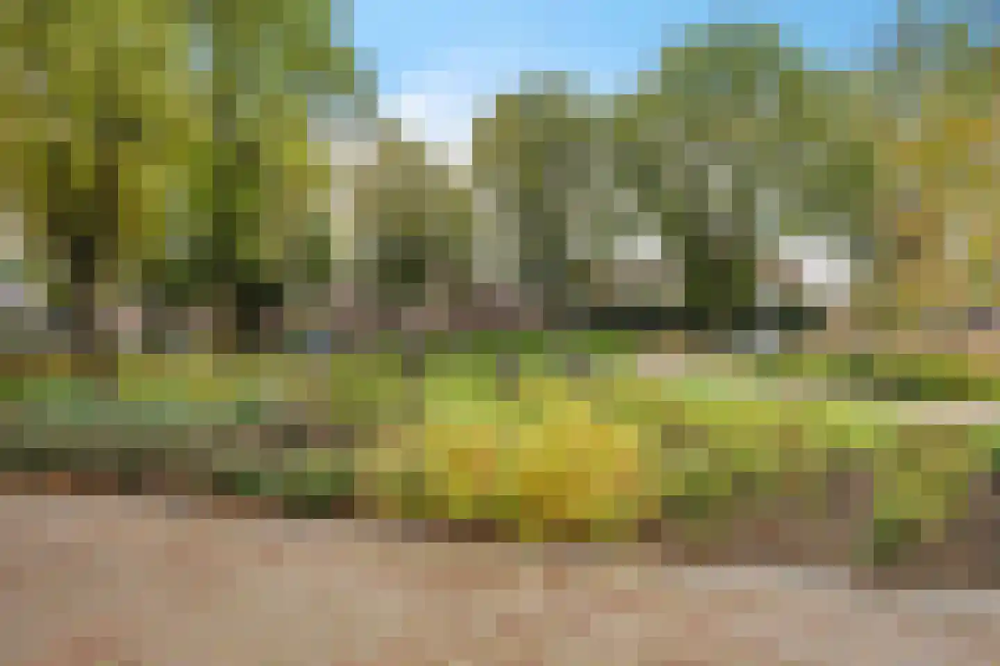 Spanjaardsplein 13 Borne thumbnail 48