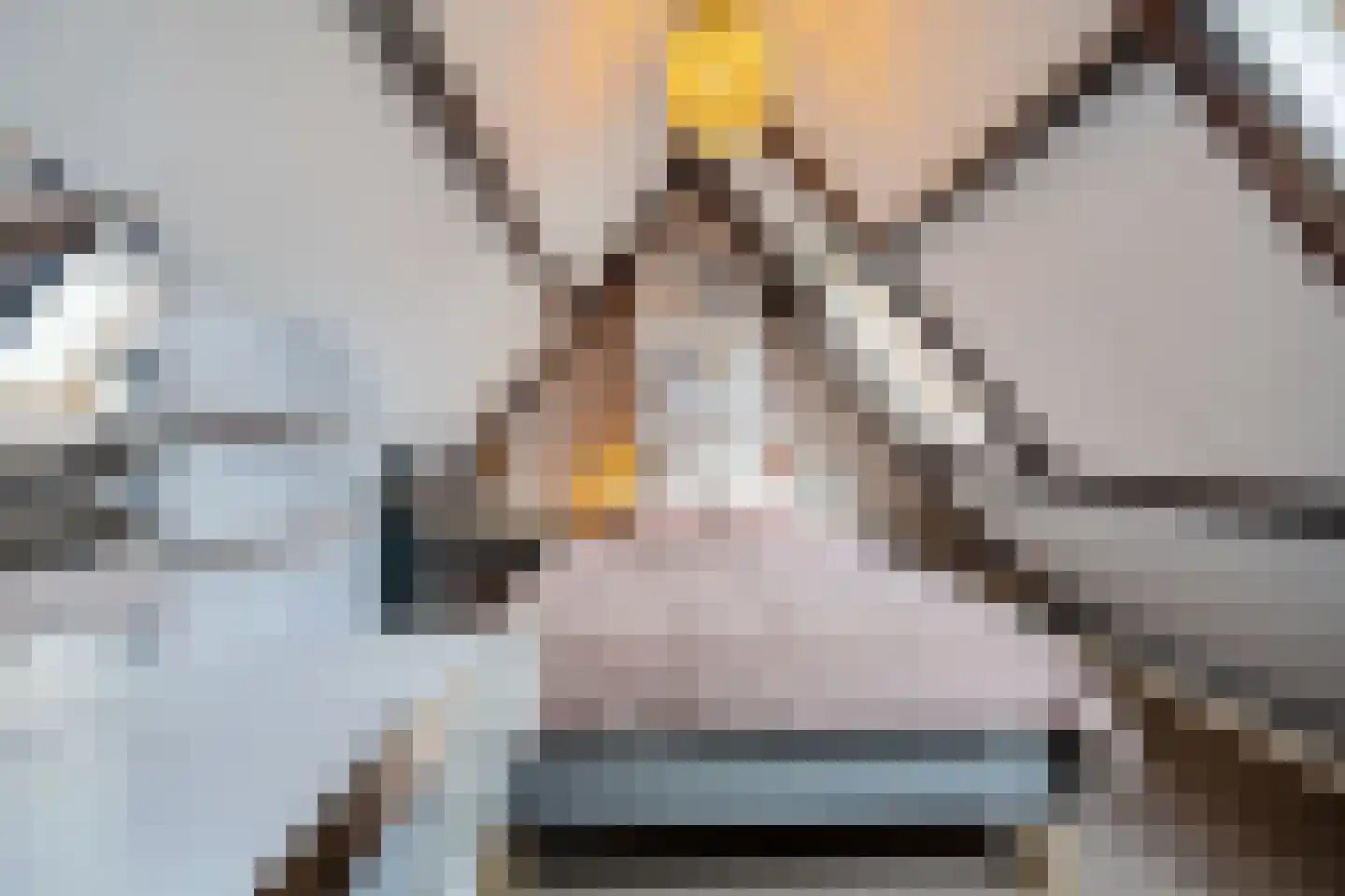 Spanjaardsplein 13 Borne thumbnail 5