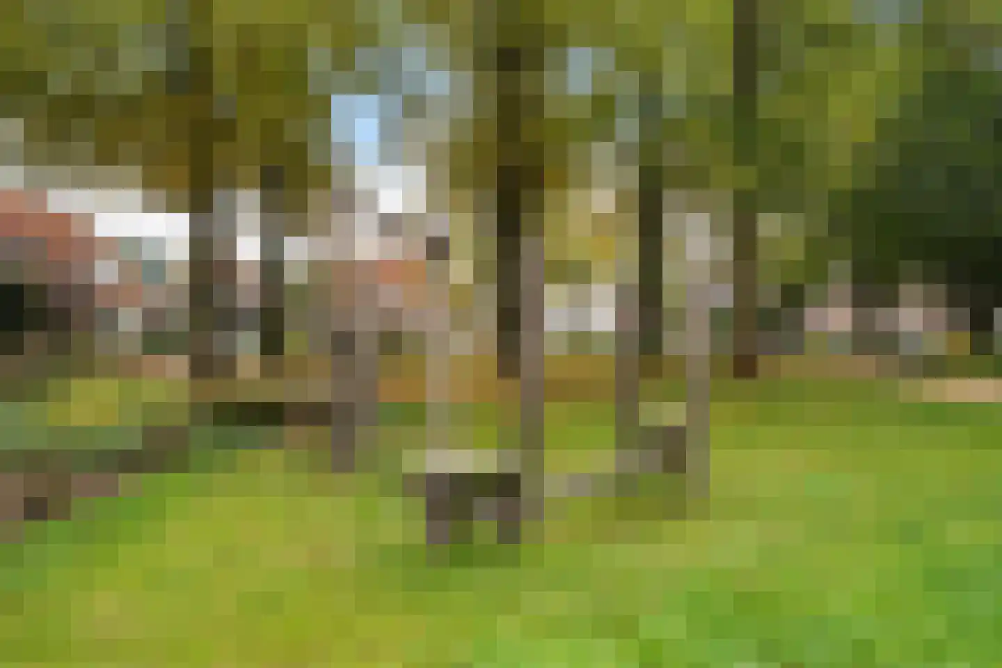 Spanjaardsplein 13 Borne thumbnail 50