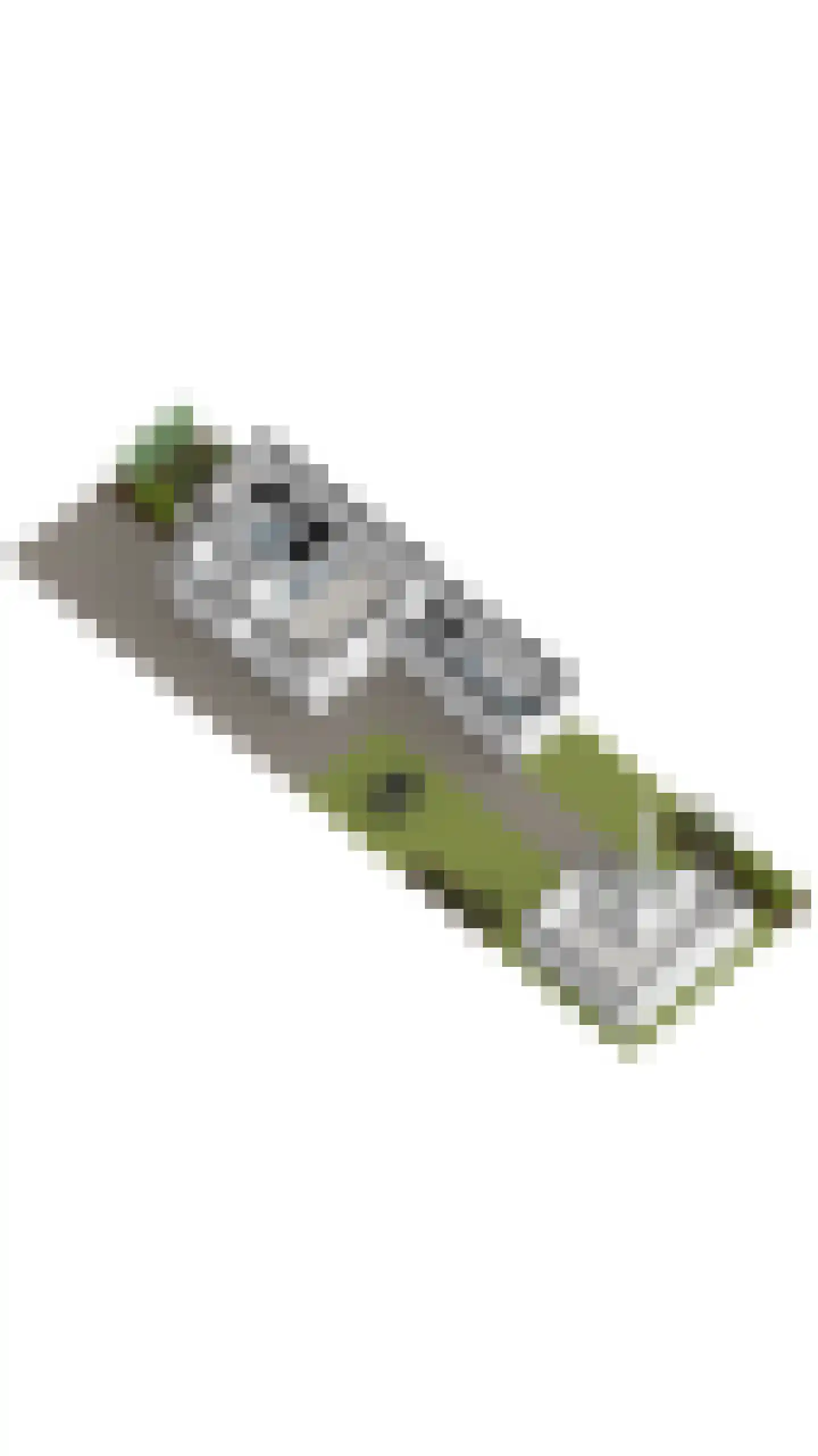 Spanjaardsplein 13 Borne thumbnail 56