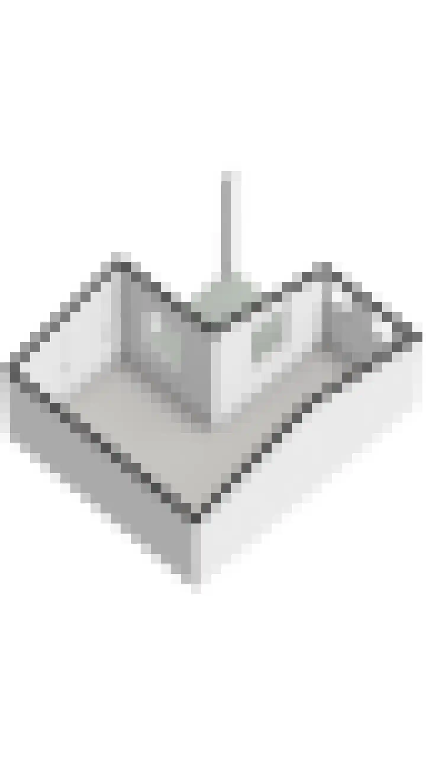 Spanjaardsplein 13 Borne thumbnail 60