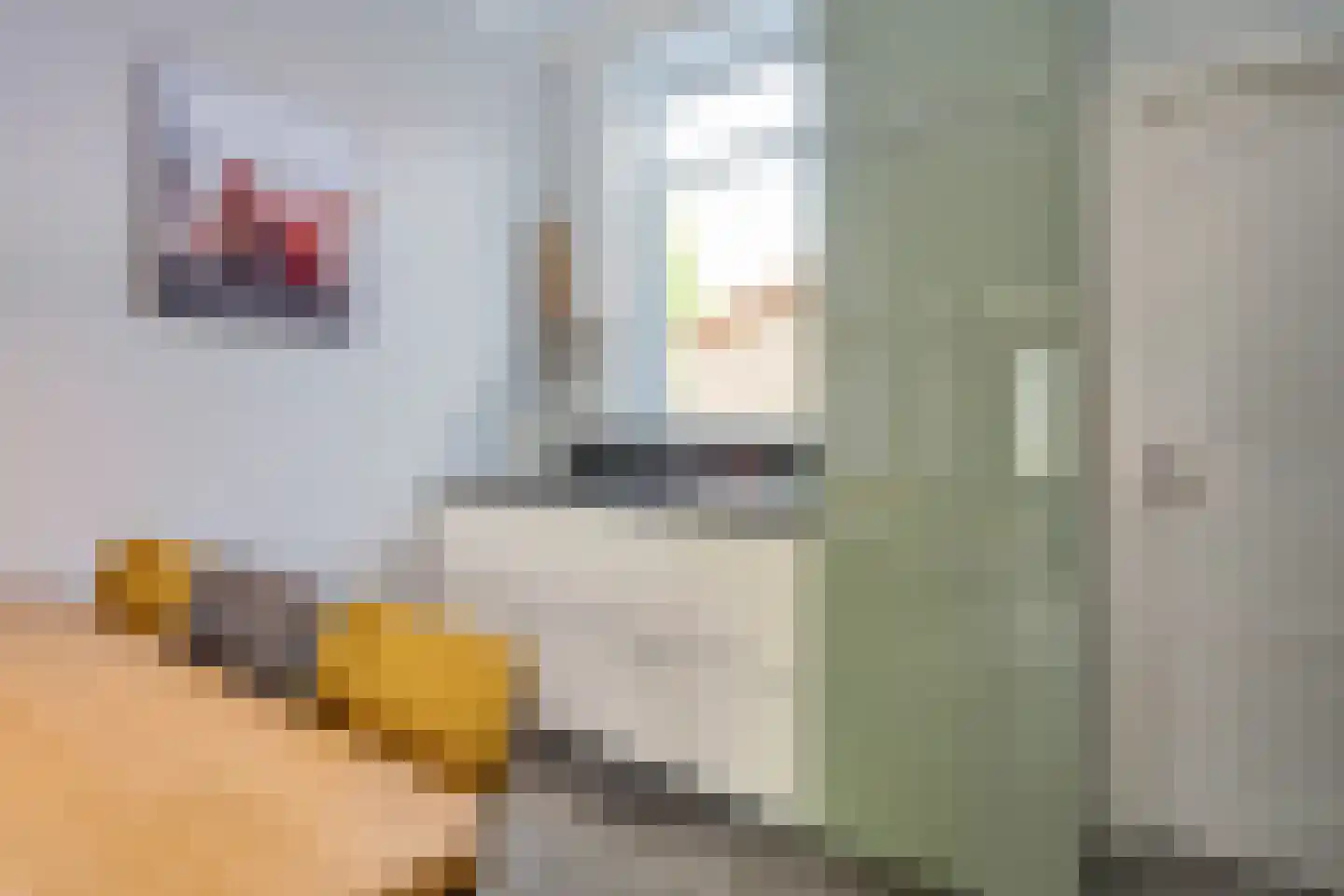 Spanjaardsplein 8 Borne thumbnail 11