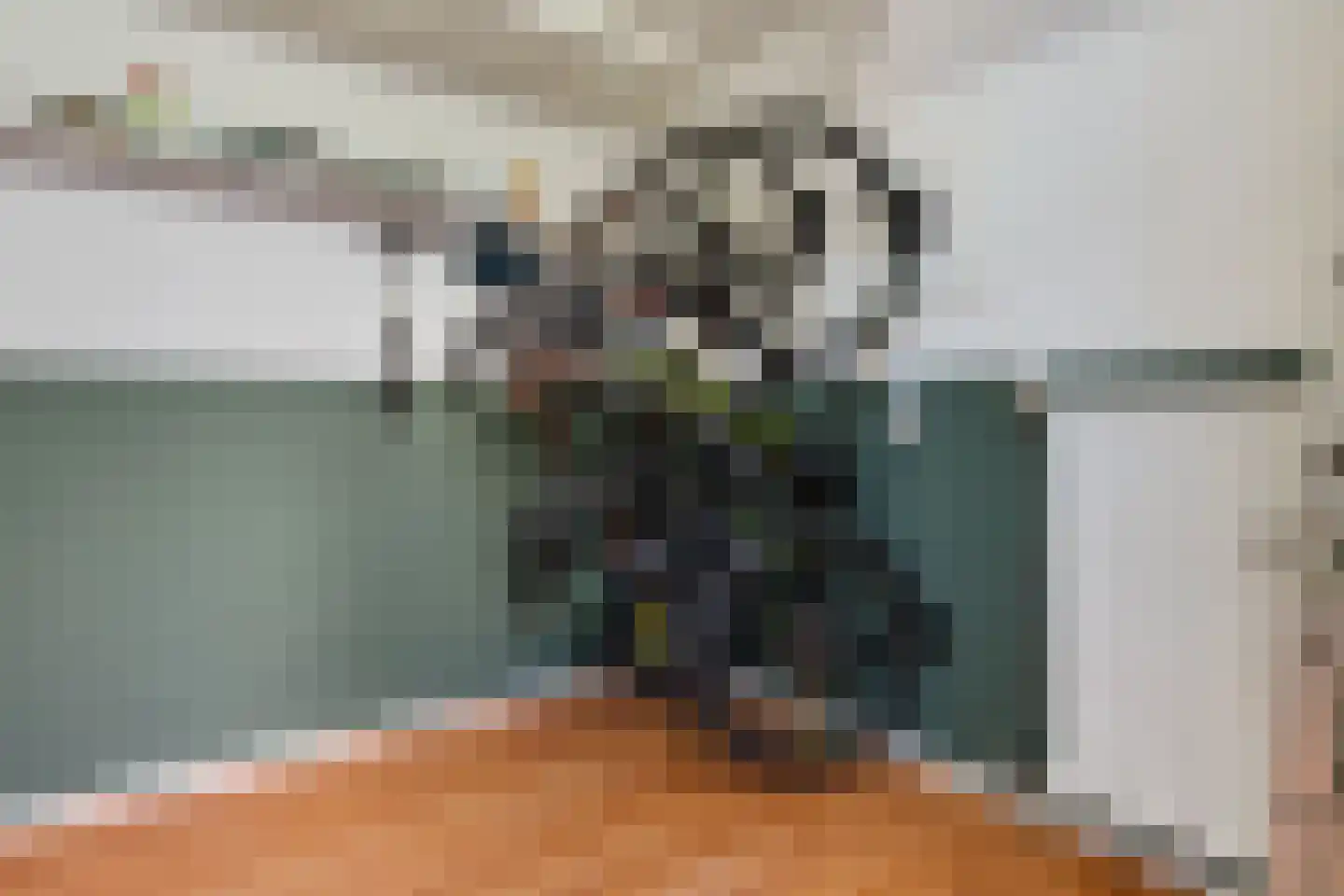 Spanjaardsplein 8 Borne thumbnail 25