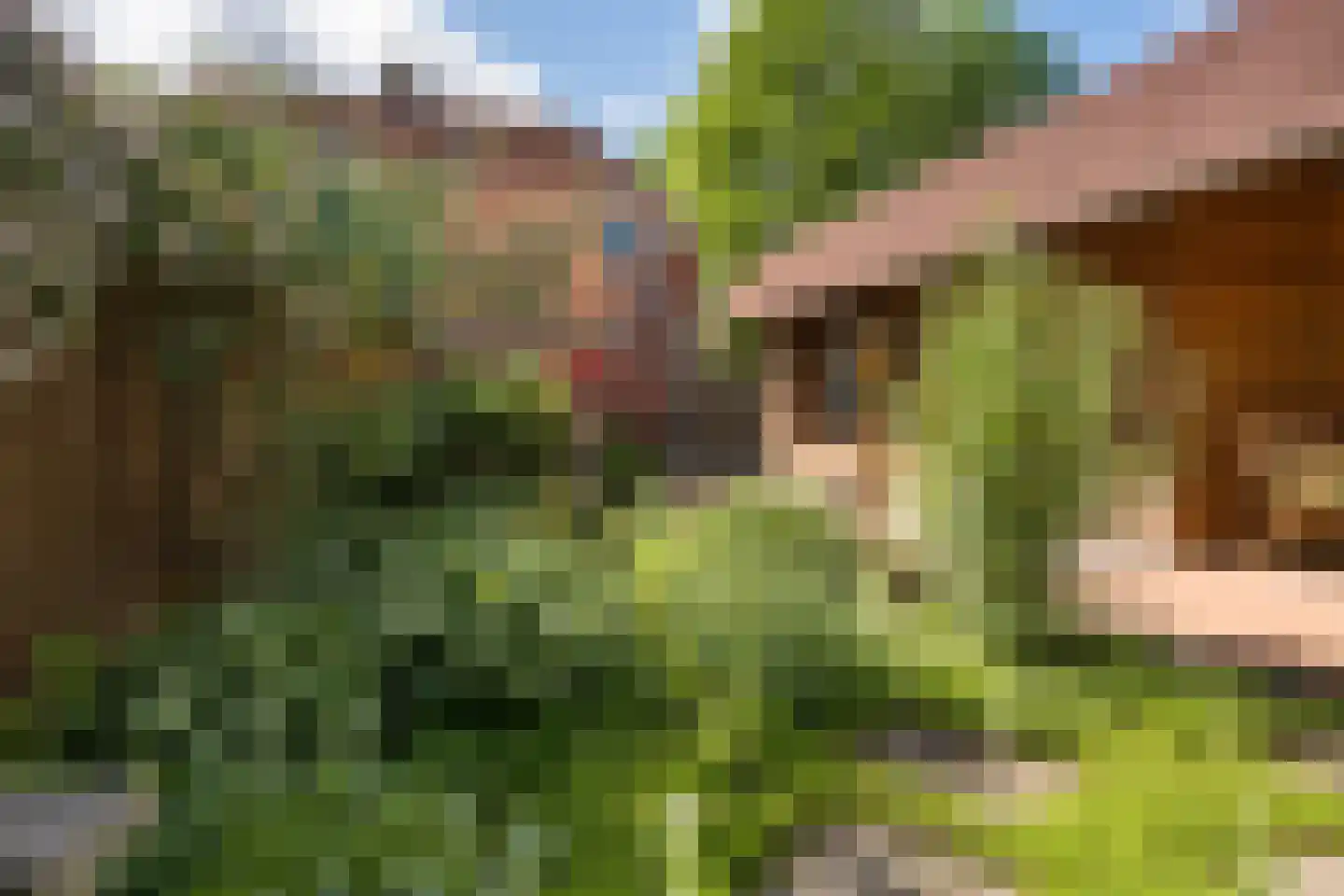 Spanjaardsplein 8 Borne thumbnail 27