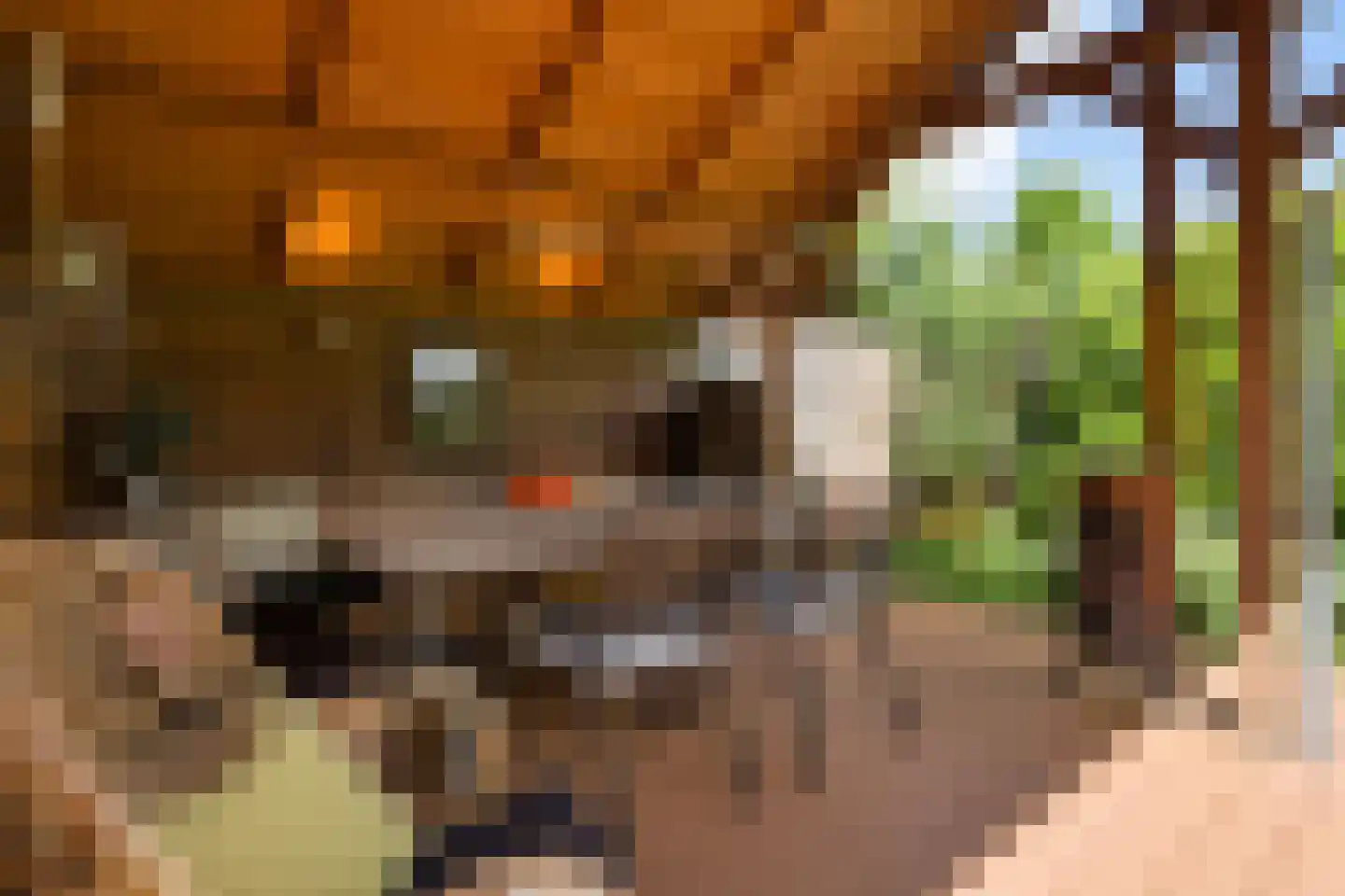 Spanjaardsplein 8 Borne thumbnail 29