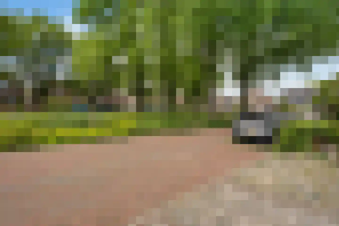 Spanjaardsplein 8 Borne thumbnail 6