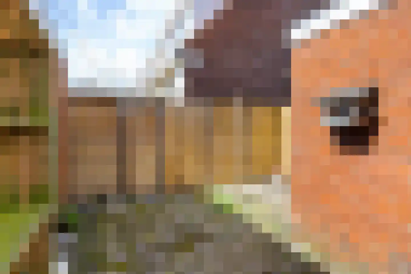 Spanjaardsstraat 1 b Leeuwarden thumbnail 13