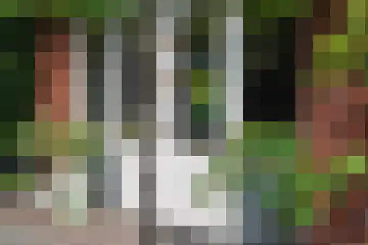 Spanjaardstraat 1 Oosterbeek thumbnail 44