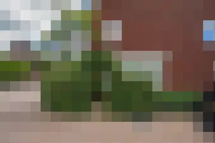 Spanjaardstraat 1 Oosterbeek thumbnail 9