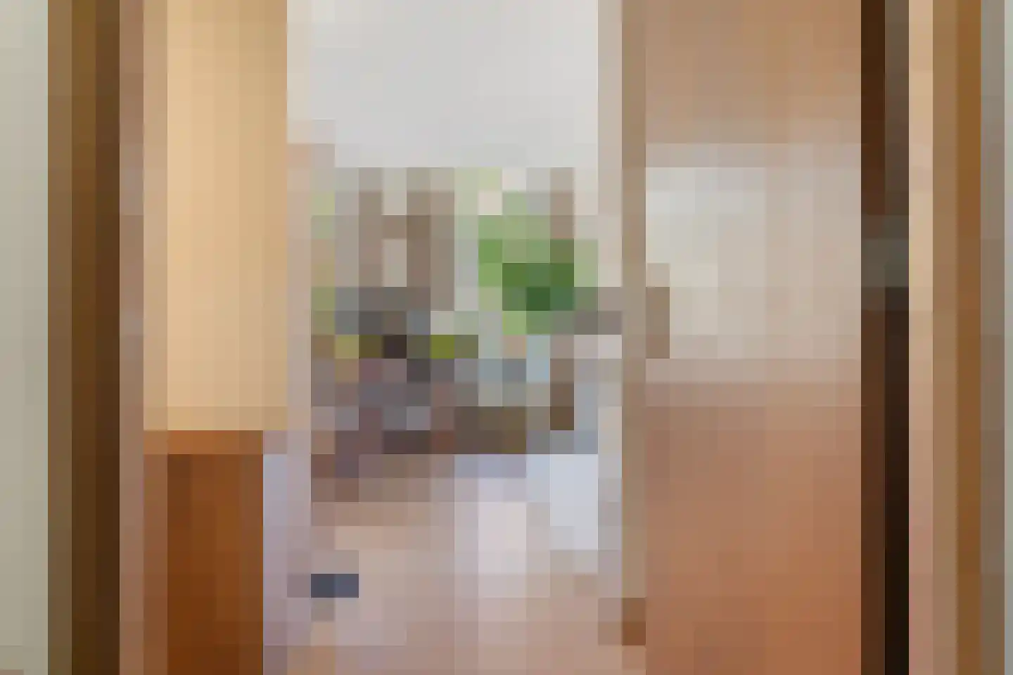 Spanjaardstraat 111 B 01 Rotterdam thumbnail 30