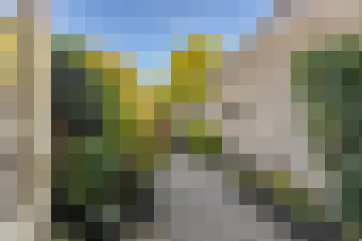 Spanjaardstraat 13 Middelburg thumbnail 17