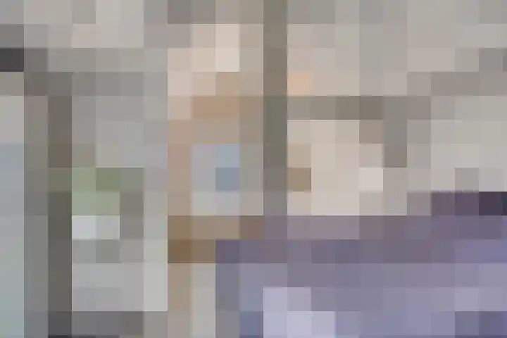 Spanjaardstraat 26 Alkmaar thumbnail 18