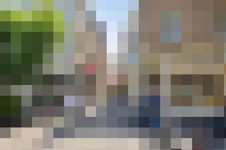 Spanjaardstraat 26 Alkmaar thumbnail 32