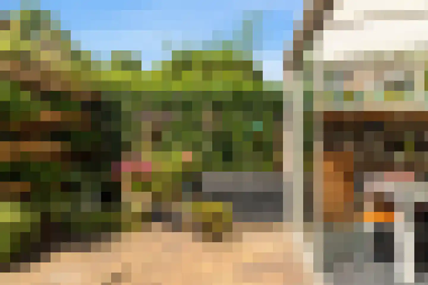Spanjaardstraat 27 Alkmaar thumbnail 16