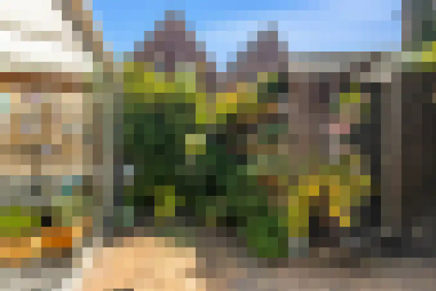 Spanjaardstraat 27 Alkmaar thumbnail 17