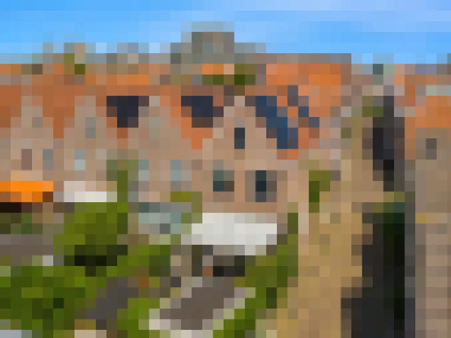 Spanjaardstraat 27 Alkmaar thumbnail 19