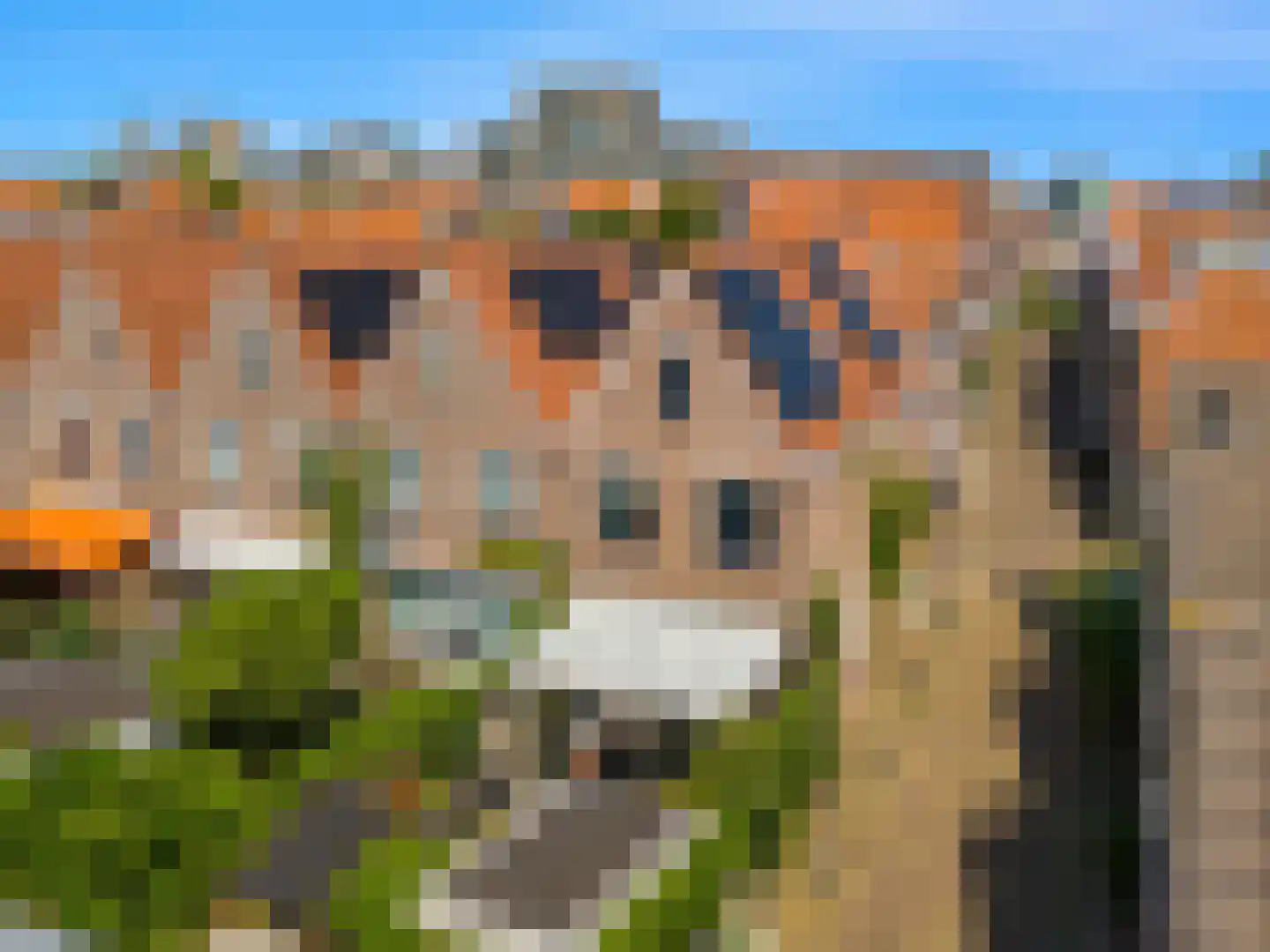 Spanjaardstraat 27 Alkmaar thumbnail 20