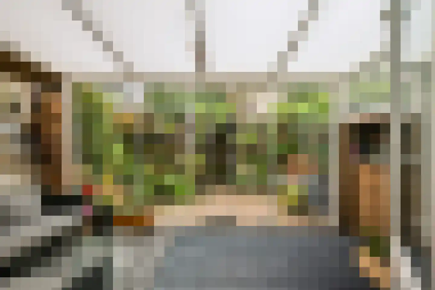 Spanjaardstraat 27 Alkmaar thumbnail 4