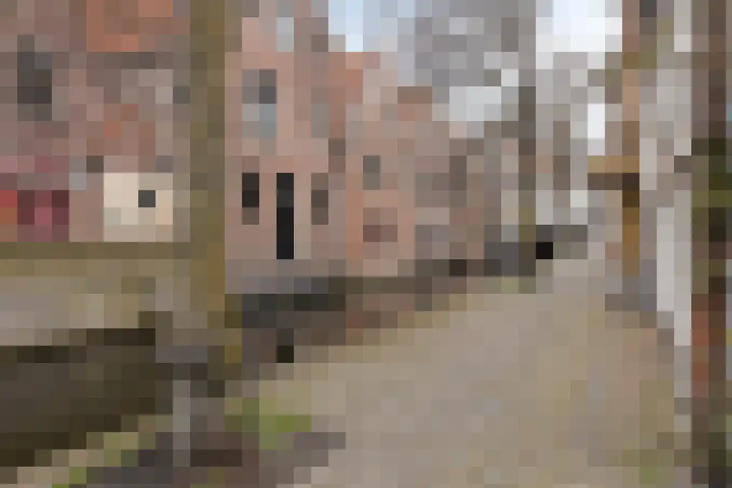 Spanjaardstraat 28 Alkmaar thumbnail 32