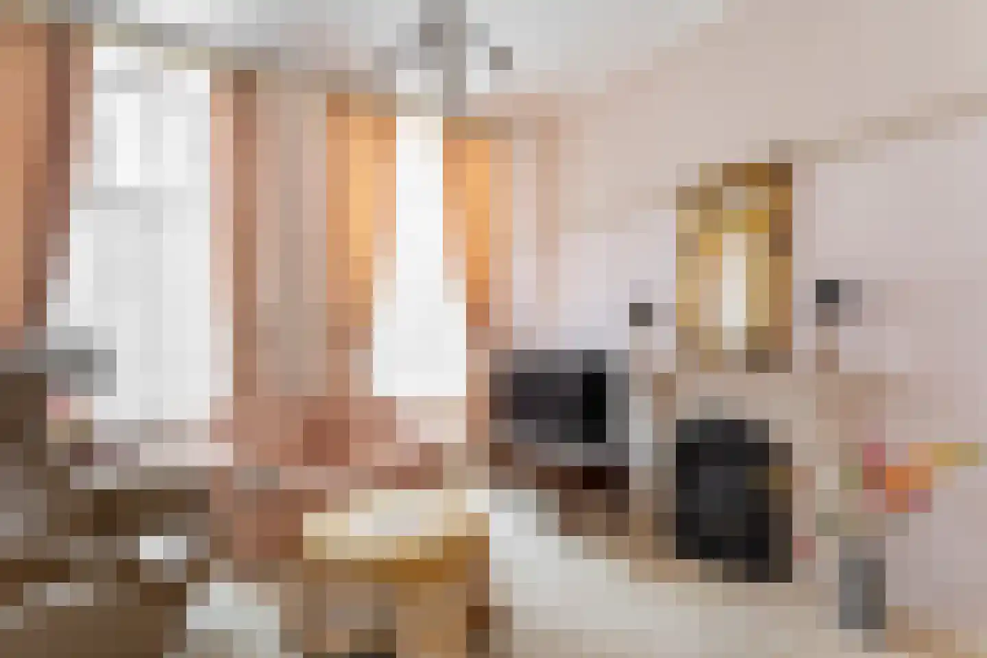 Spanjaardstraat 3 Middelburg thumbnail 29