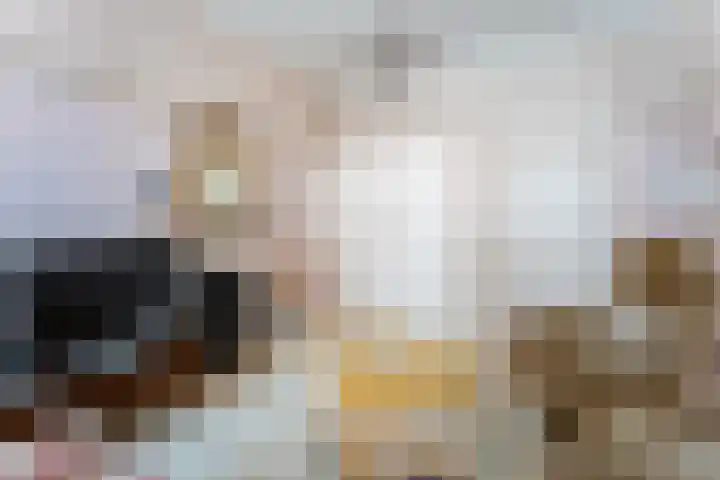 Spanjaardstraat 3 Middelburg thumbnail 31
