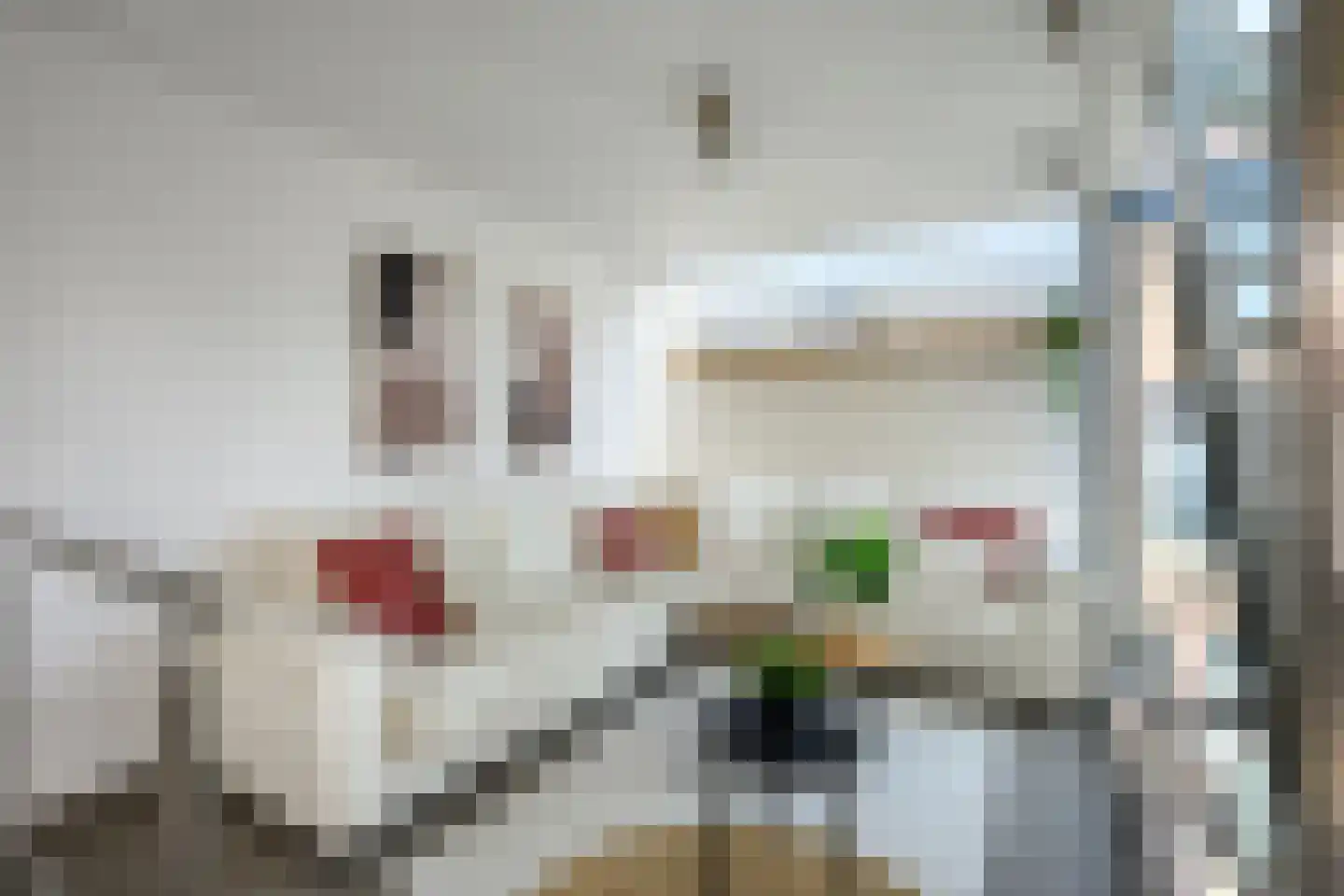 Spanjaardstraat 41 Alkmaar thumbnail 12