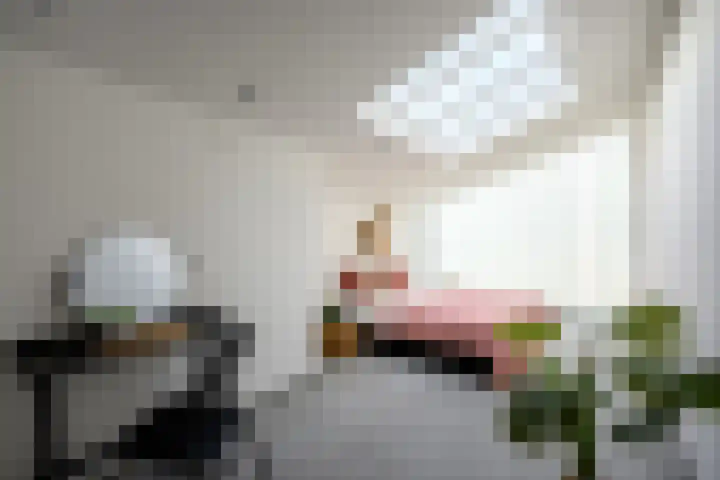 Spanjaardstraat 41 Alkmaar thumbnail 17