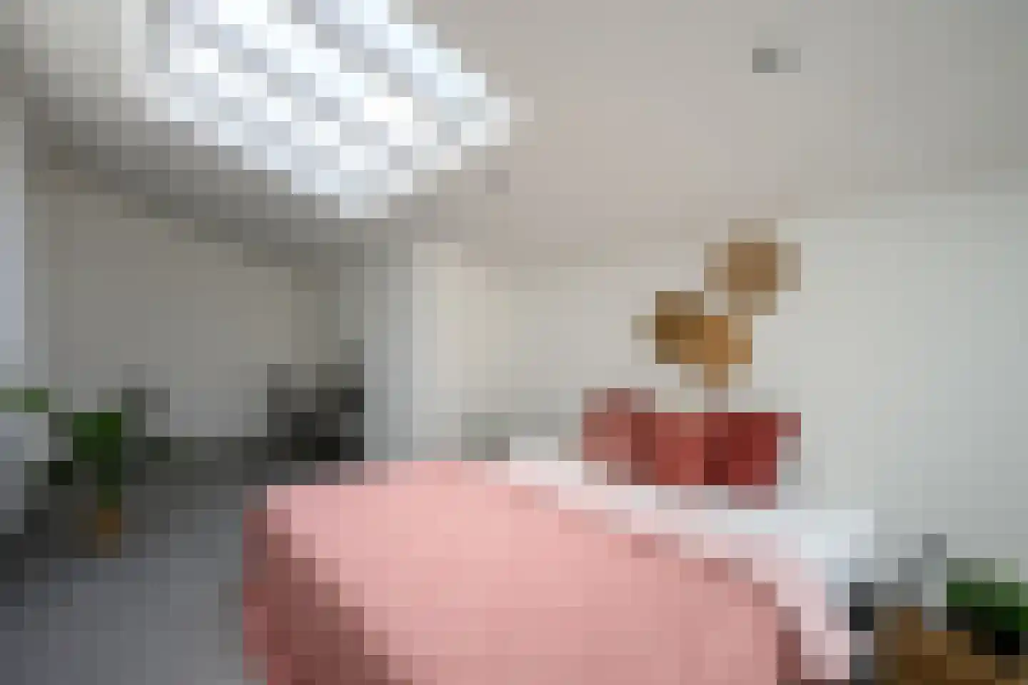 Spanjaardstraat 41 Alkmaar thumbnail 18