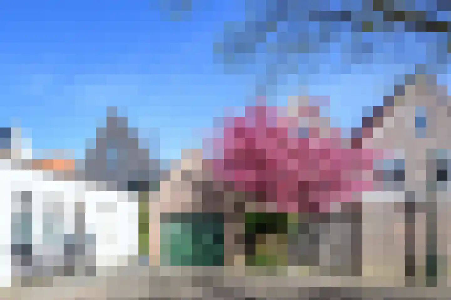 Spanjaardstraat 41 Alkmaar thumbnail 31