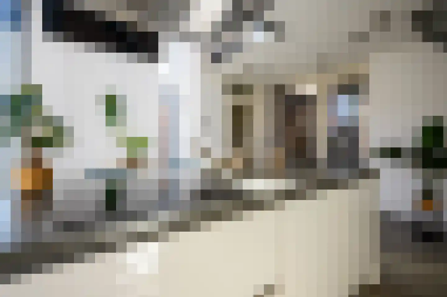 Spanjaardstraat 41 Alkmaar thumbnail 6