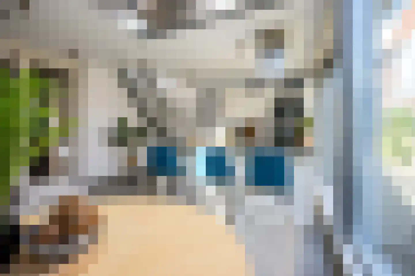 Spanjaardstraat 41 Alkmaar thumbnail 8