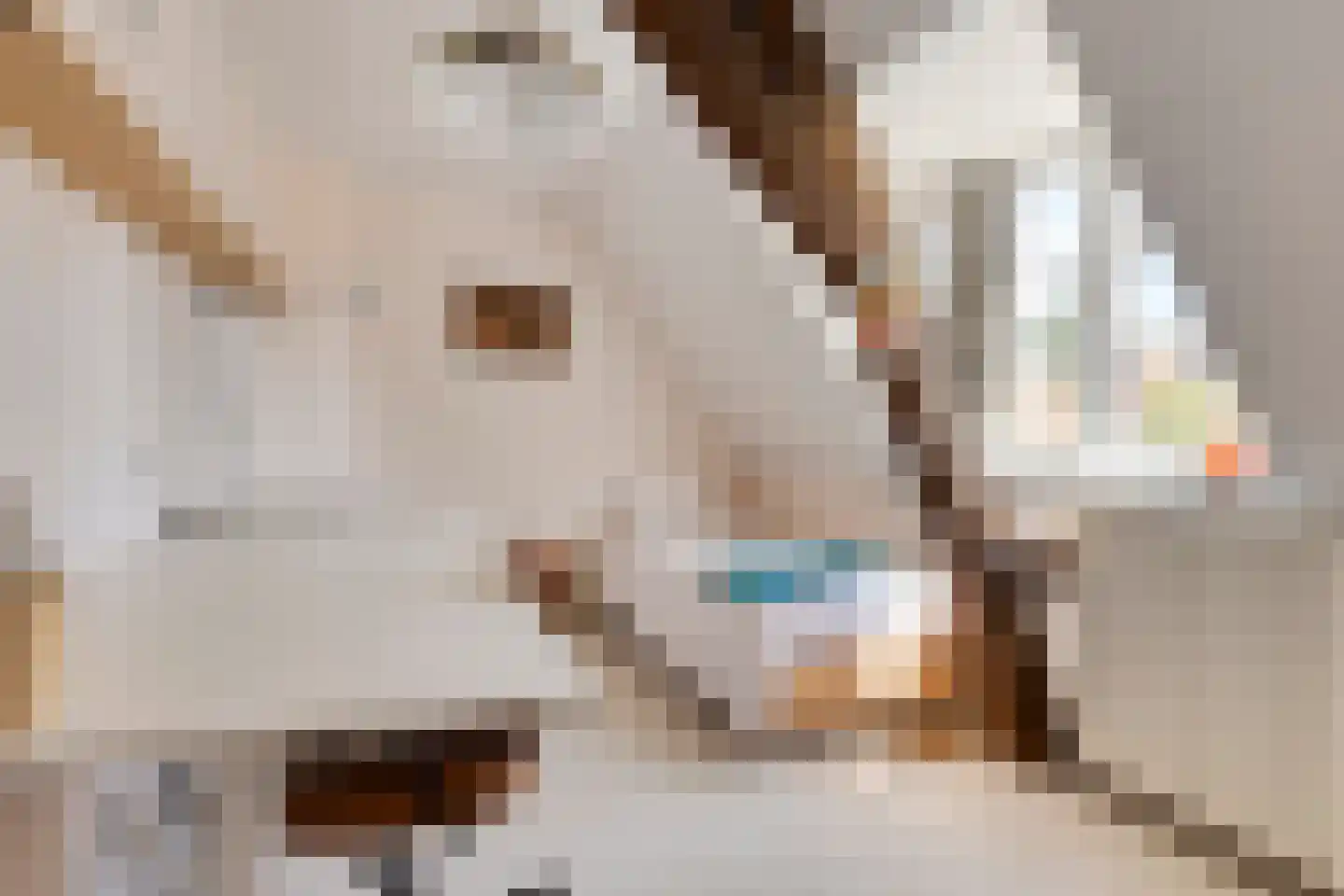 Spanjaardstraat 56 Middelburg thumbnail 37