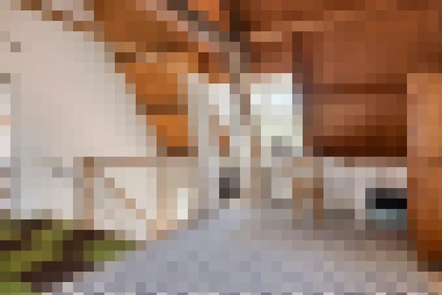 Spanjaardstraat 56 Middelburg thumbnail 41