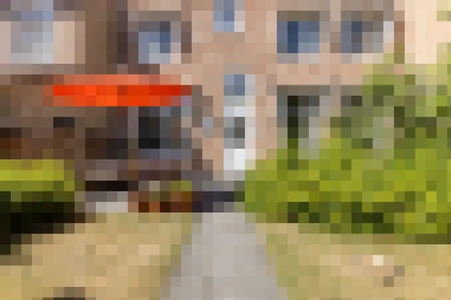 Spanjaardstraat 56 Middelburg thumbnail 52
