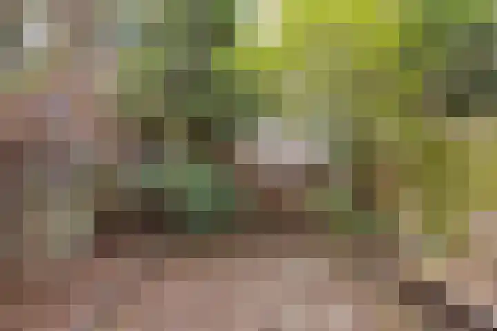 Spanjaardstraat 71 Rotterdam thumbnail 34