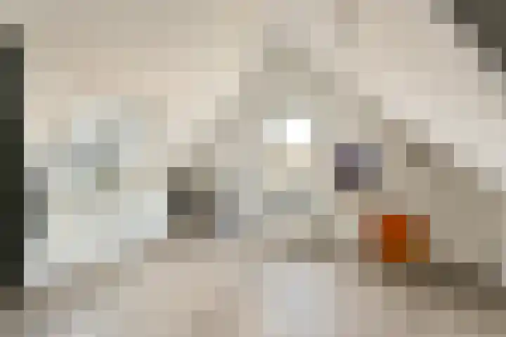 Spanjaardstraat 85 A Rotterdam thumbnail 20