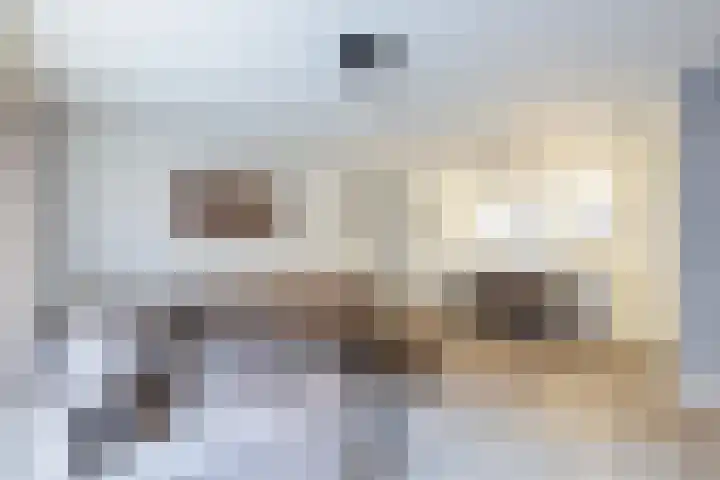 Spanjaardstraat 86 Rotterdam thumbnail 12