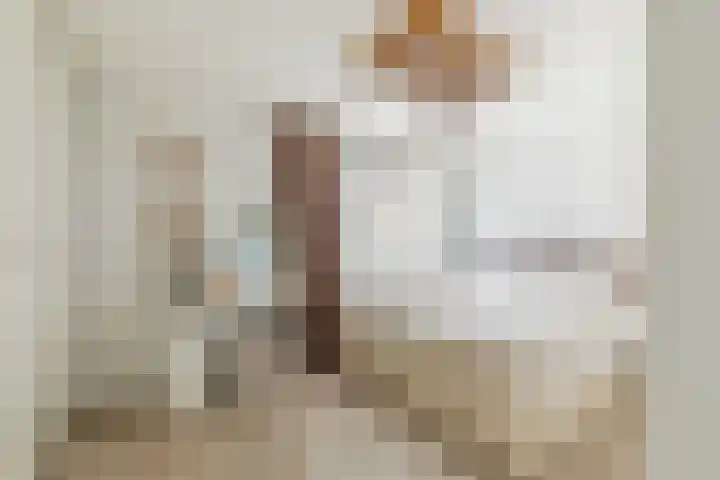 Spanjaardstraat 86 Rotterdam thumbnail 18