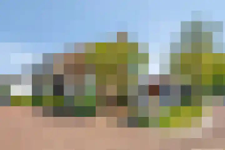 Spanjaardstraat 9 's-Heer Hendrikskinderen thumbnail 5