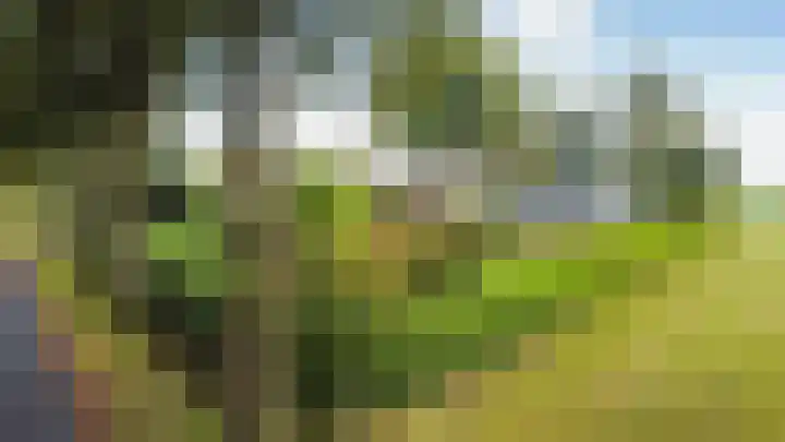 Spanjaardsweg 6 Wedde thumbnail 10