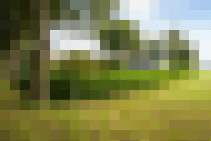Spanjaardsweg 6 Wedde thumbnail 11