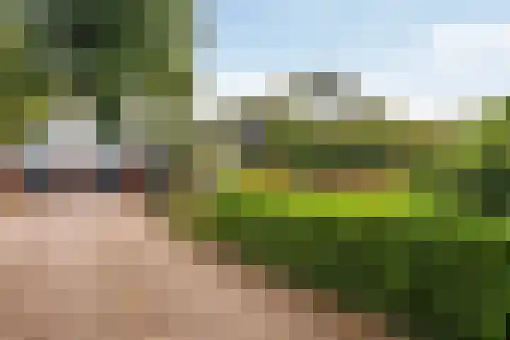 Spanjaardsweg 6 Wedde thumbnail 14