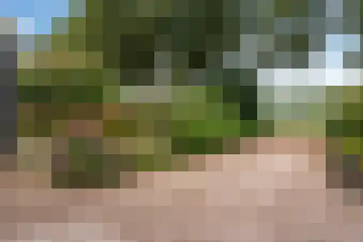 Spanjaardsweg 6 Wedde thumbnail 16
