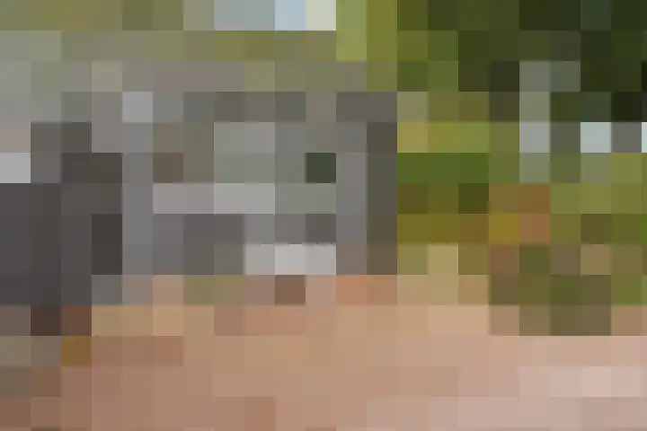 Spanjaardsweg 6 Wedde thumbnail 18