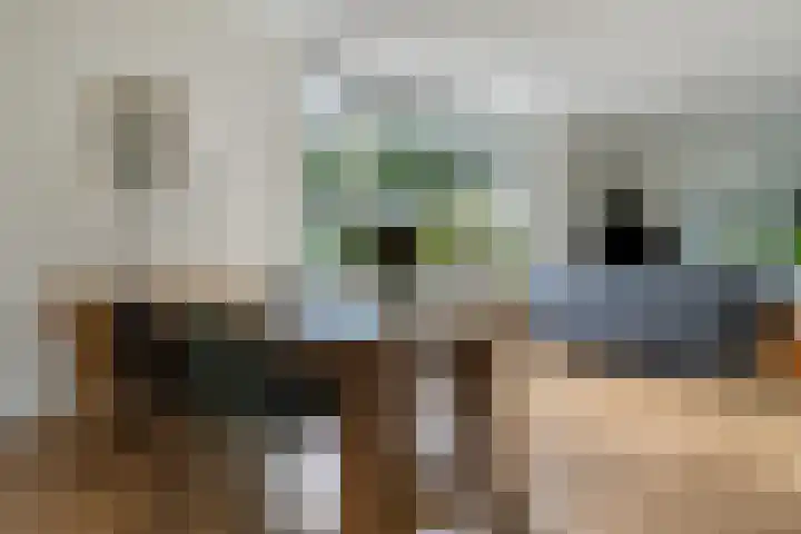 Spanjaardsweg 6 Wedde thumbnail 23