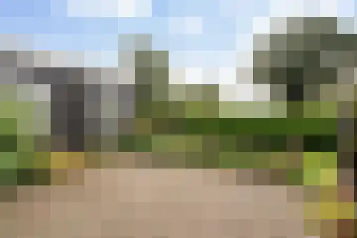 Spanjaardsweg 6 Wedde thumbnail 26
